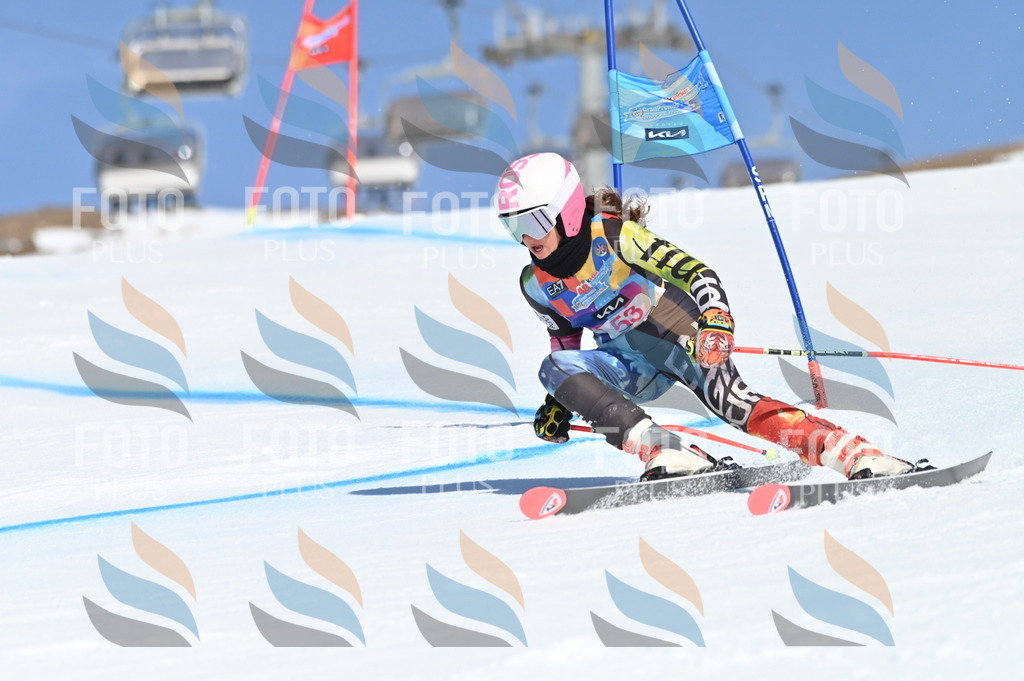 BGV_8594 | holidayphoto