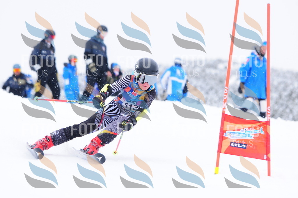 C4347 | holidayphoto