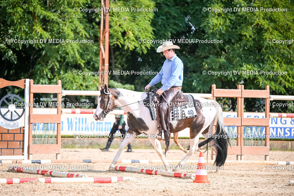 ZS2_3501 | dv-media-shop - Realisiert mit Pictrs.com