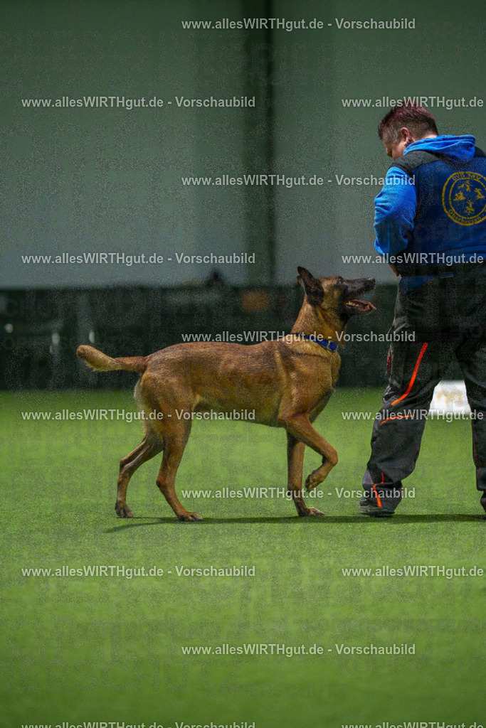 7R507467 | Professionelle Tierfotografie in Mönchengladbach von Daniel Wirth (allesWIRTHgut). Liebevolle & natürliche Bilder von Hunden & Katzen für unvergessliche Erinnerungen.