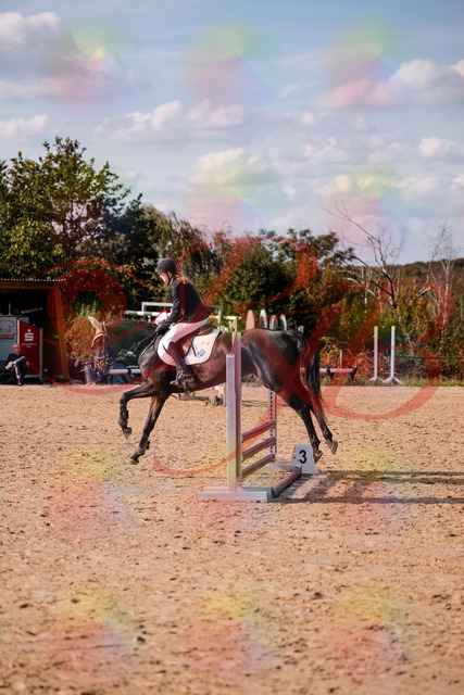 2026_10_03_Siefer-Hof_153532_Z81_47486825 | Professionelle Reitsport-, Turnier- und Eventfotografie von Robert Broda. Galerien mit ausgewählten und bearbeiteten Bildern direkt online ansehen und bestellen.