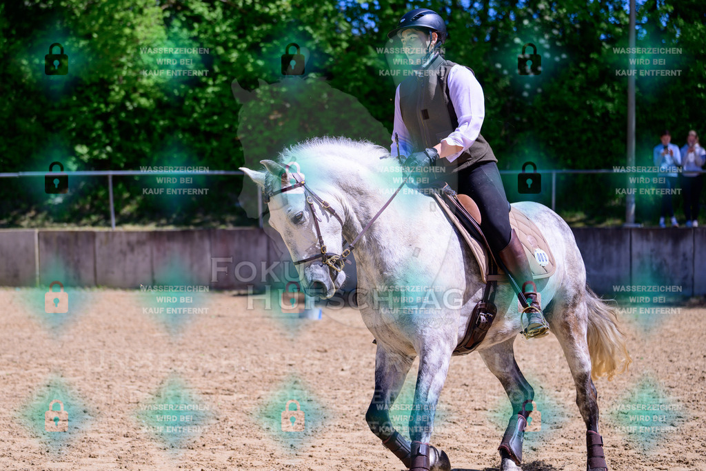 01052026-Giesenbach-02-Stiltrail-0043 | Fokus Hufschlag Fotografie - Realisiert mit Pictrs.com