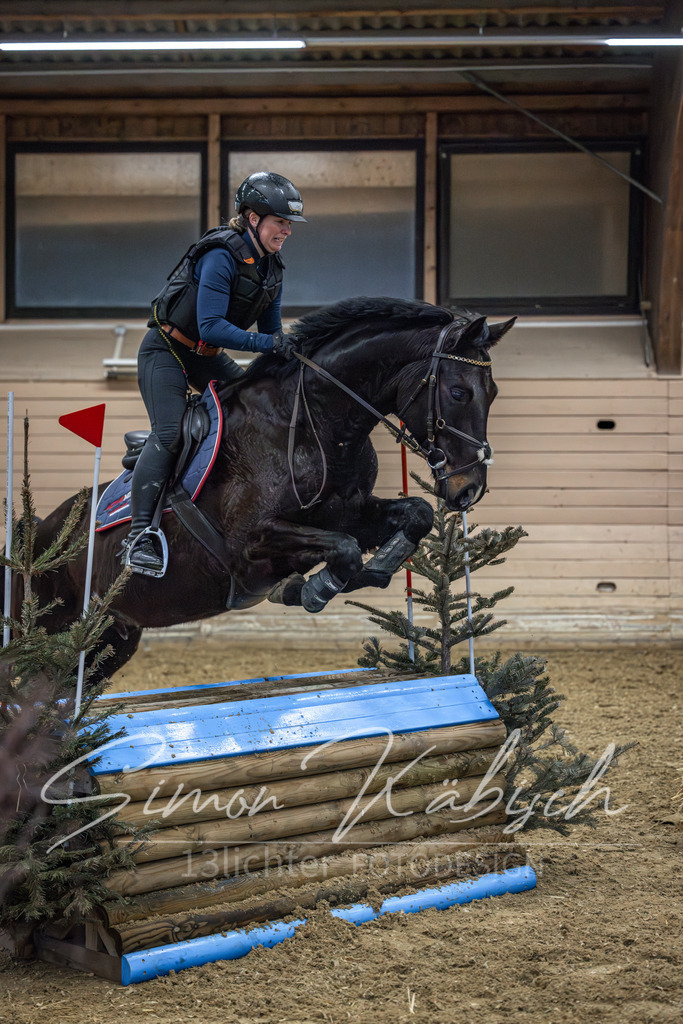 20260222-_3LI1197 | Tierfotografie Pferde, Hunde, Katzen, Haustiere.
Turnierfotografie Reitturniere, Reiten, Springreiten, Dressur in Hanau, dem Main-Kinzig-Kreis und dem Rhein-Main- Gebiet um Frankfurt