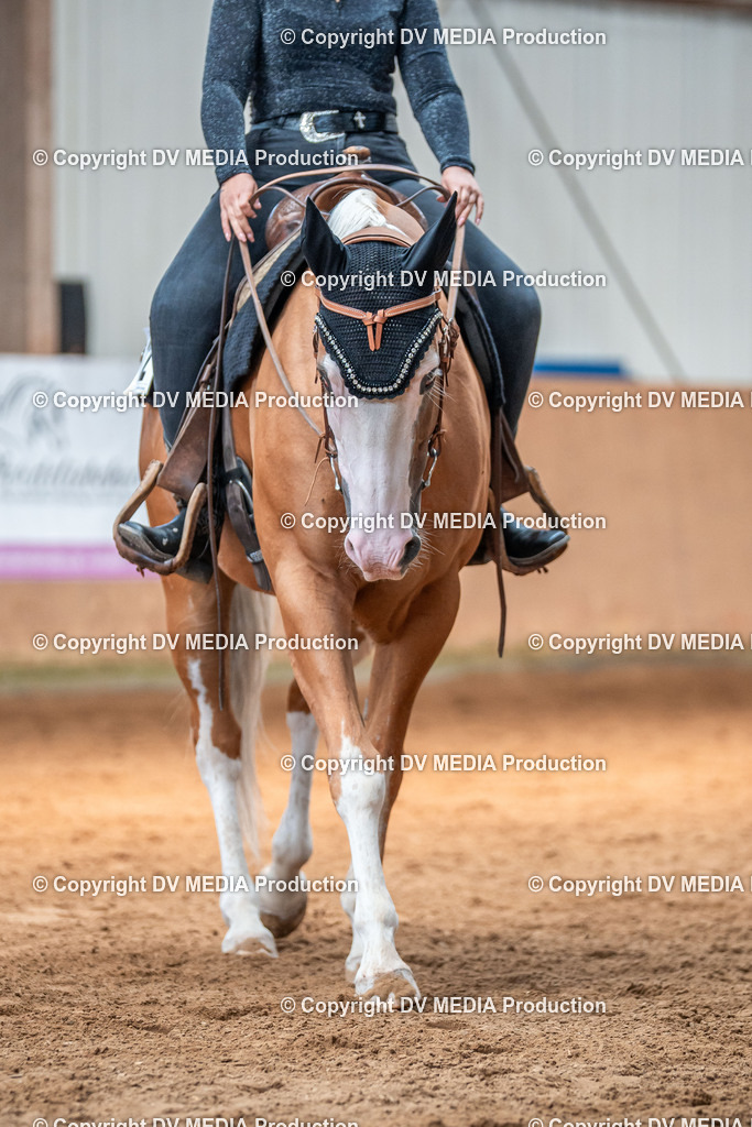 Neckargemünd Tag 2-935 | dv-media-shop - Realisiert mit Pictrs.com