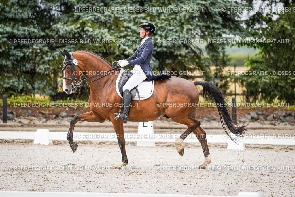 DSC08568 | Pferdegrafie