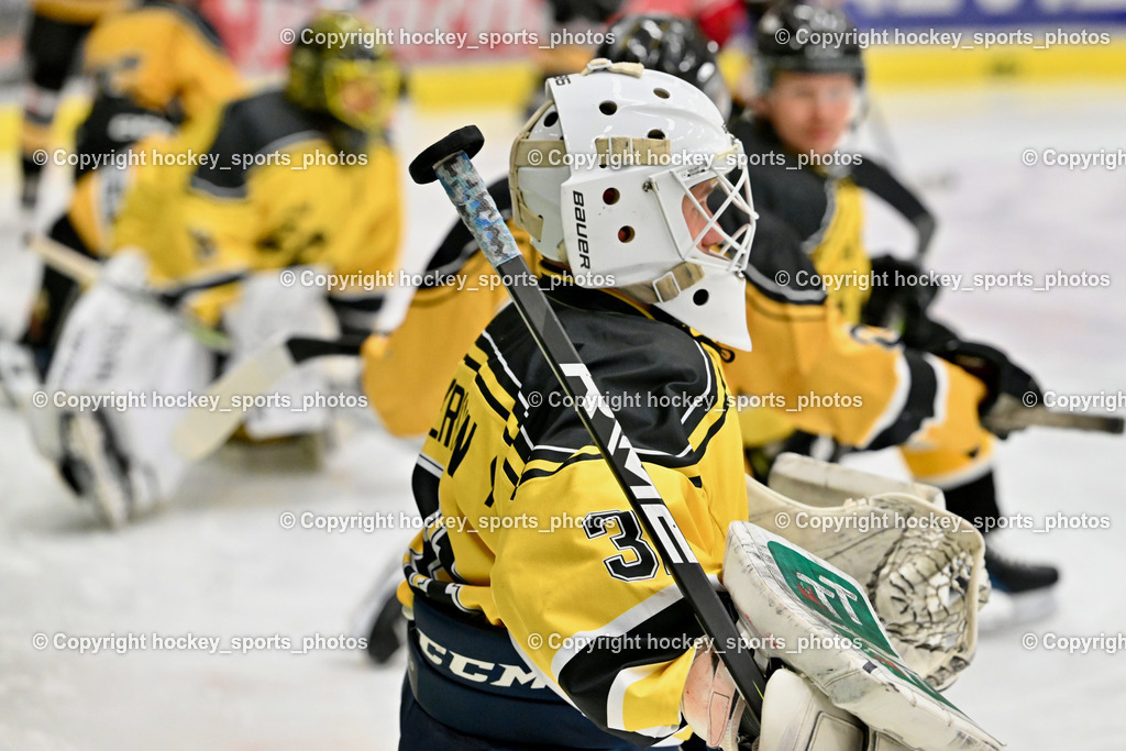 EC Kellerberg vs. EC Arnoldstein | #31 Zimmermann Max EC Arnoldstein, EC Kellerberg vs. EC Arnoldstein, EC Kellerberg vs. EC Arnoldstein am 03.02.2025 in Villach (Stadthalle Villach), Austria, (Photo by Bernd Stefan)