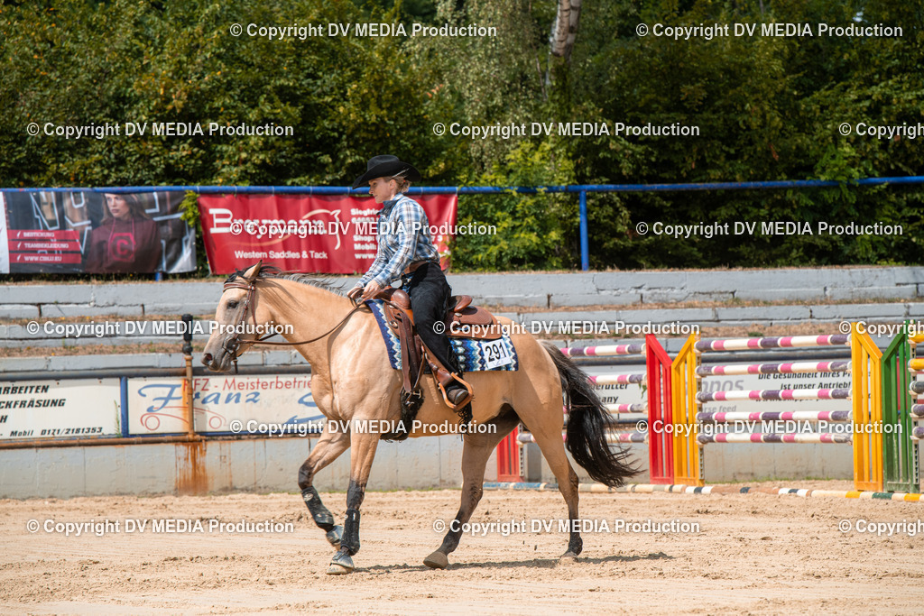 ZS3_9599 | dv-media-shop - Realisiert mit Pictrs.com