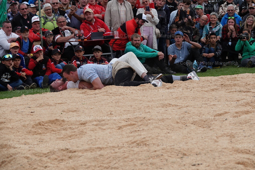 DSC02069 | Schwingen - Realisiert mit Pictrs.com