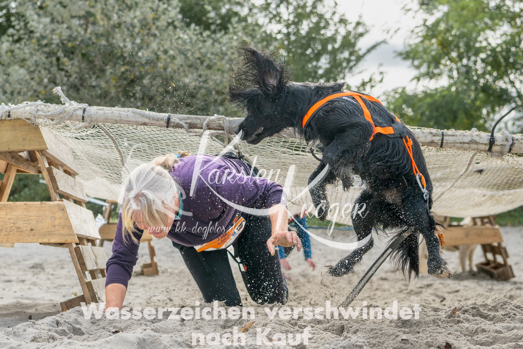 1204_ZZ90272 | kk-dogfotos