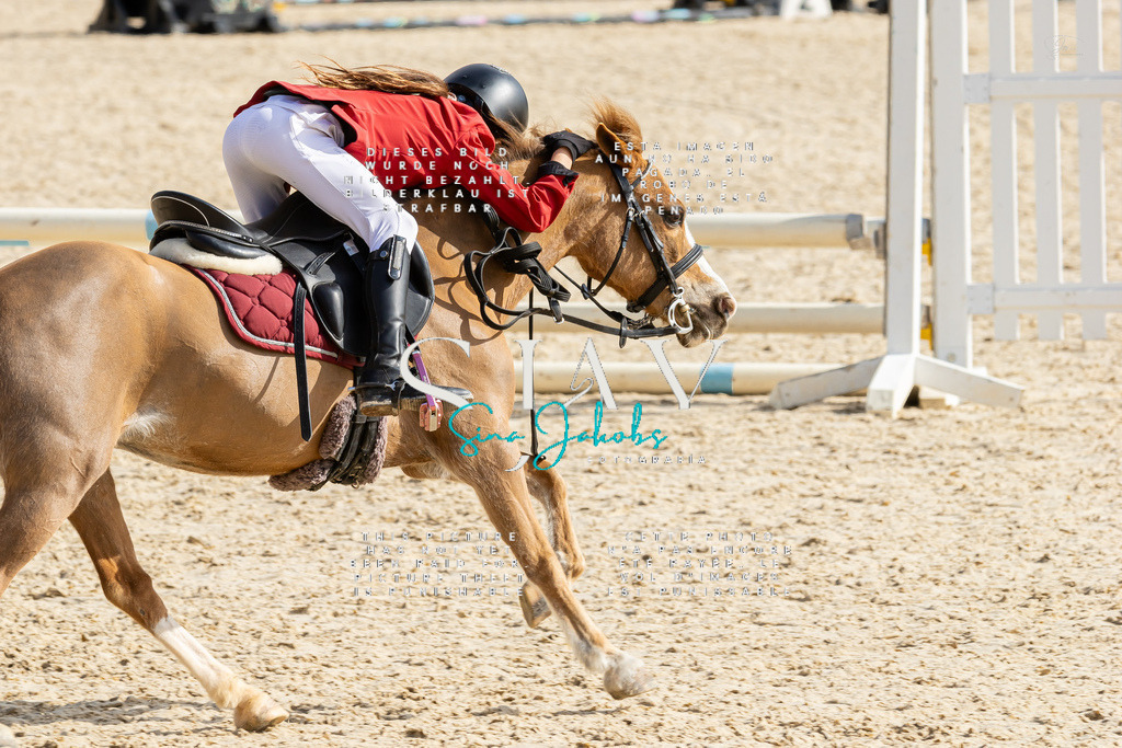 IMG_4371 | s-jay-photography - Realisiert mit Pictrs.com