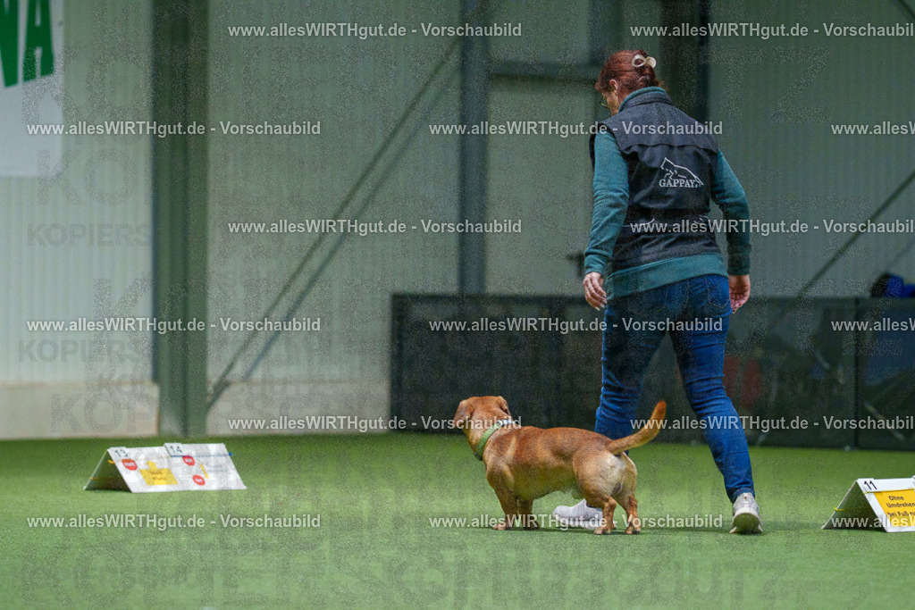 7R507173 | Professionelle Tierfotografie in Mönchengladbach von Daniel Wirth (allesWIRTHgut). Liebevolle & natürliche Bilder von Hunden & Katzen für unvergessliche Erinnerungen.