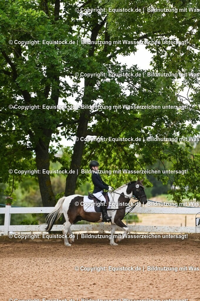 20230716_10-2_Reiter-WB Schritt - Trab - Galopp_0151 | equistock