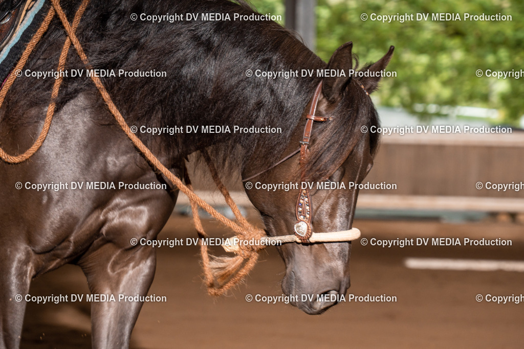 Erbach Tag 2-504 | dv-media-shop - Realisiert mit Pictrs.com