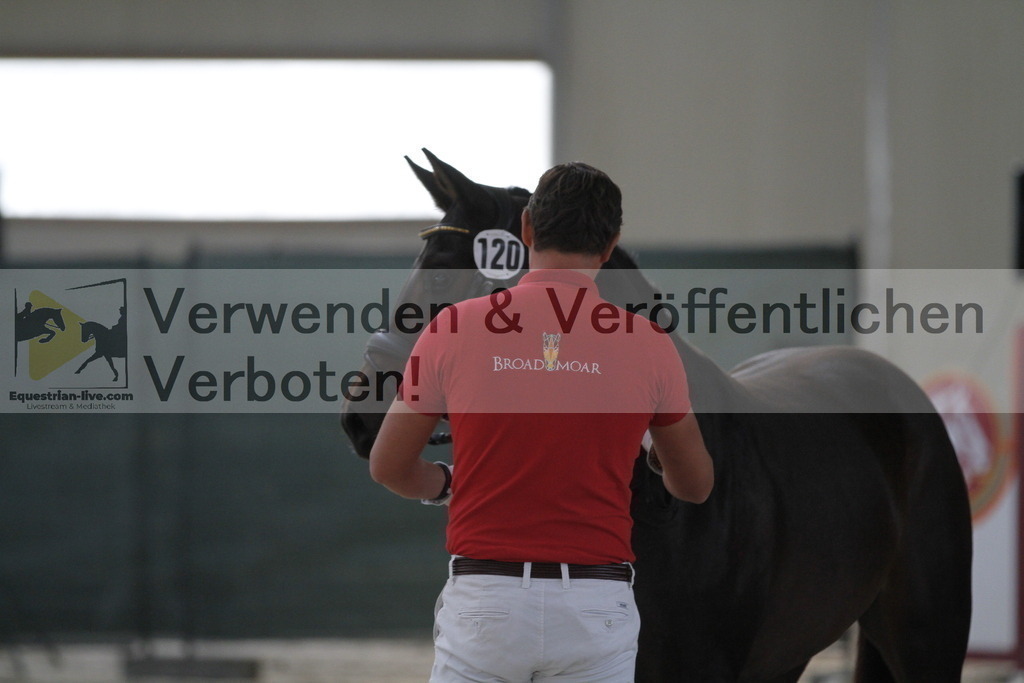 _MG_9380 | equestrian-live-com