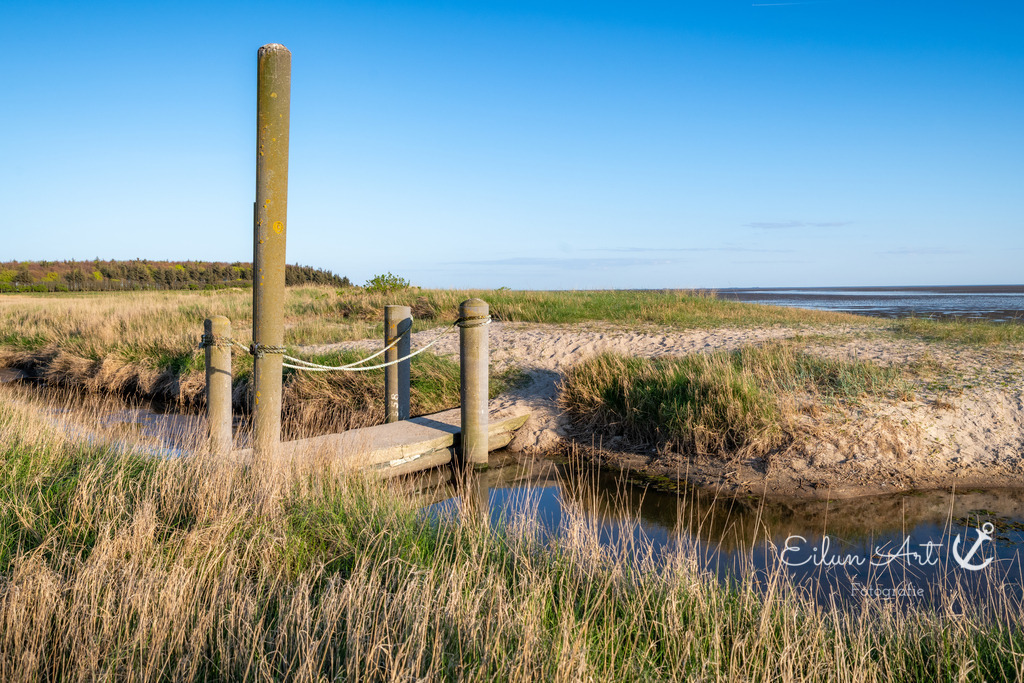 20250426-EAF_8215 | Eilun-Art-Fotografie Levke Martens, ihre Fotografin für Immobilien- und Landschaftsfotografie auf Föhr, Föhrer Motive als Poster, Leinwand, hinter Acrylglas oder stelle dir deinen eigenen Monatskalender zusammen, mit nur einem Klick