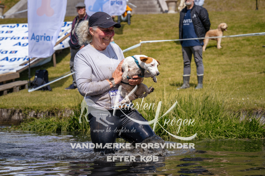 _ZZ979161033 | kk-dogfotos