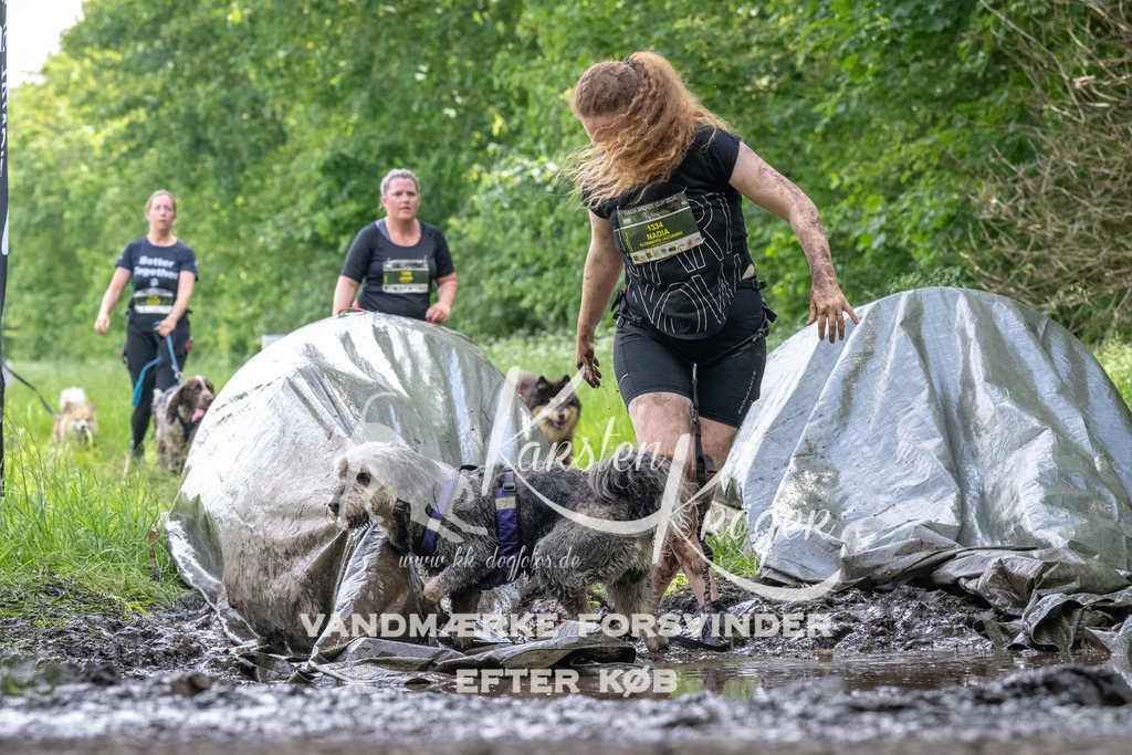 1239_ZZ92870 | kk-dogfotos