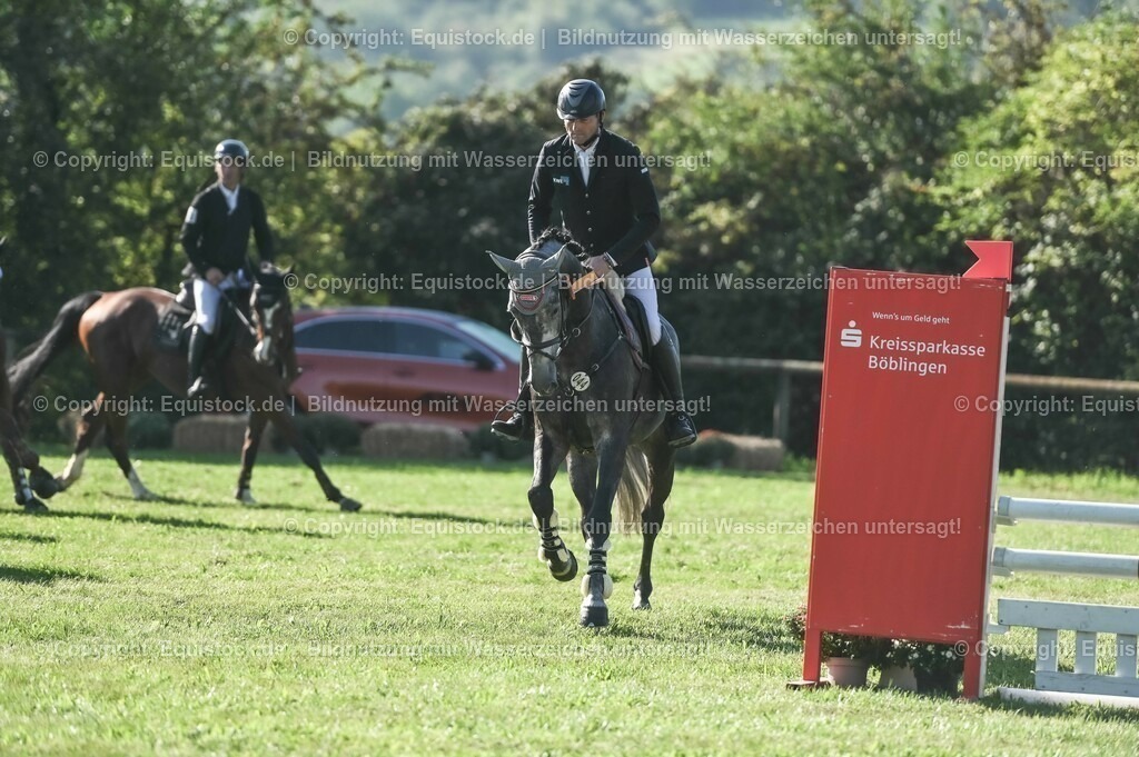 20230908_14-15_Springpferde-A_0141 | equistock