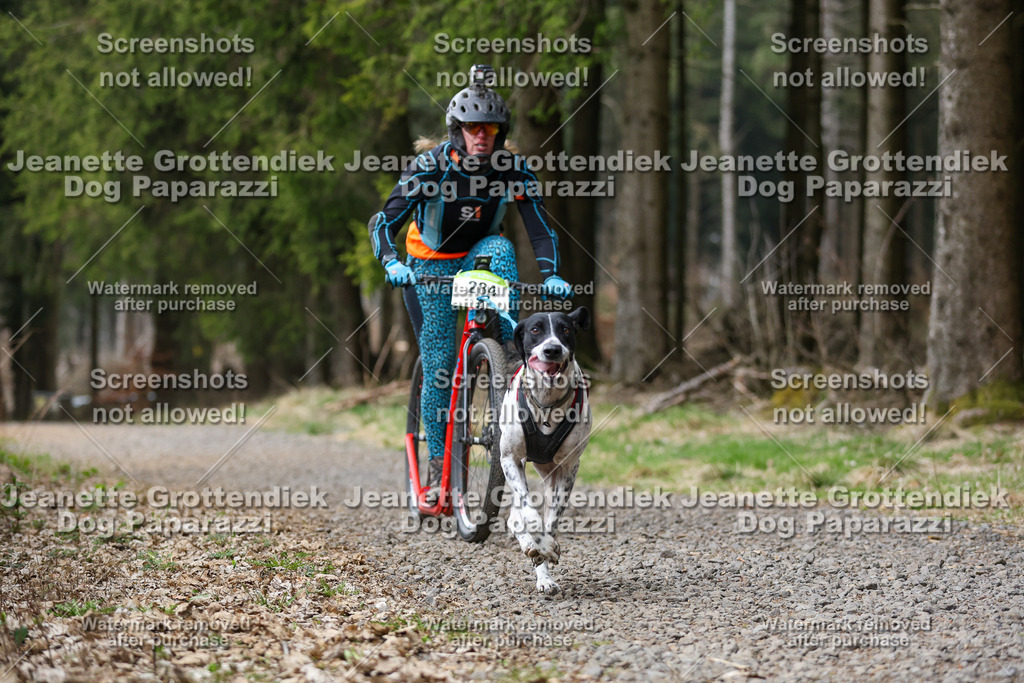 Dog Paparazzi - VCC26-530 | Dog Paparazzi Jeanette Grottendiek Fotografie & Videografie - Realisiert mit Pictrs.com