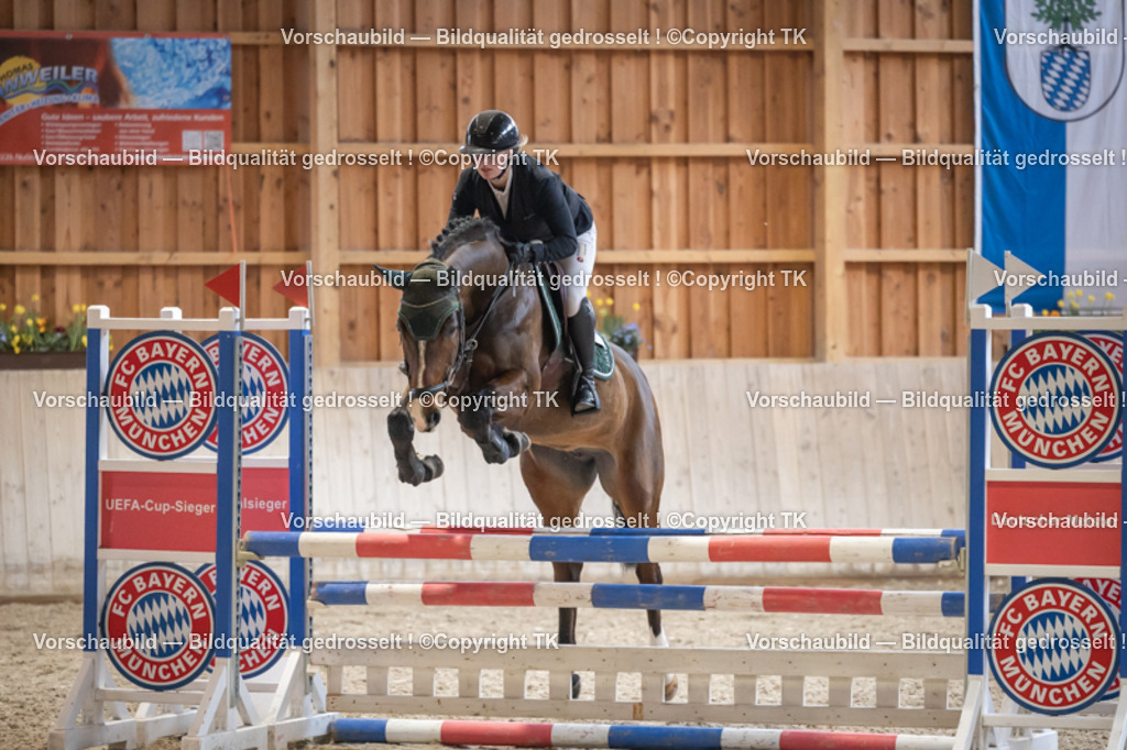 _D5A7538 | Emotionale Pferde- & People-Fotografie rund um Heidelberg, Leimen & Umgebung. Natürliche Fotos von Pferd, Mensch & Familie. Jetzt Termin sichern!