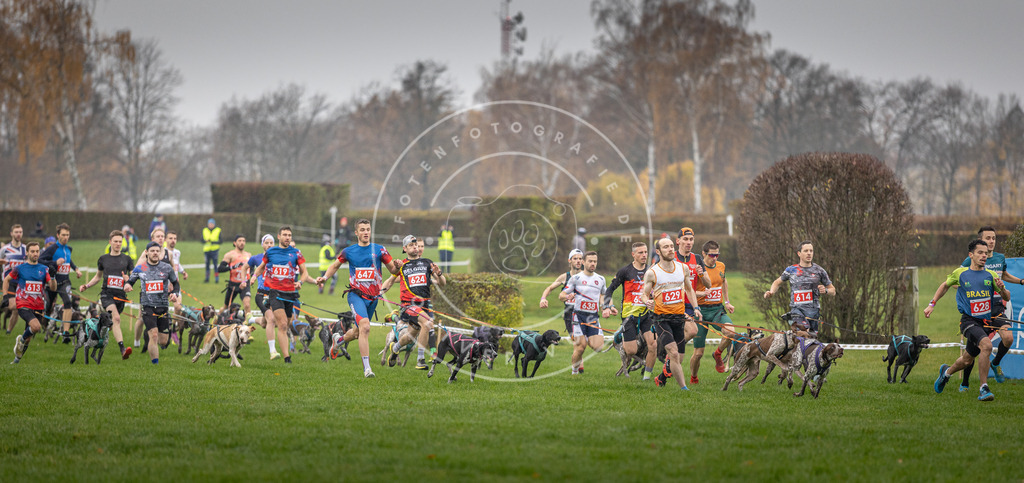 CaniXpix_DV3A9434 | Hundefotografie, Tierfotograf, Pfotenfotografie, Fotoshooting Hund, Hunde Portrait, Hundesport, Hundeportraits, Heideshooting, Hunde, Sportfotograf, Hundefotograf, Turnierhundsport, THS,  - Realisiert mit Pictrs.com