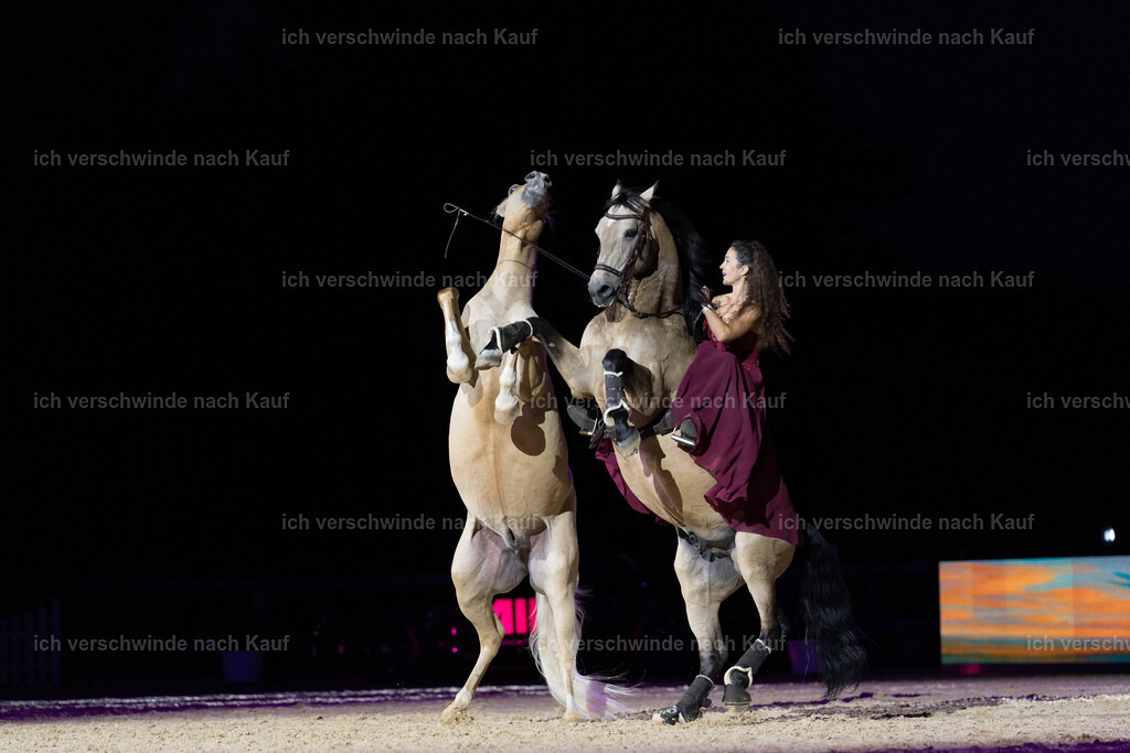 Gala-115 | working equitationturnier fotograf videograf stoibphotography marixx film working equitation deutschland reitsport turnierfotografie eventfotografie equestrian events