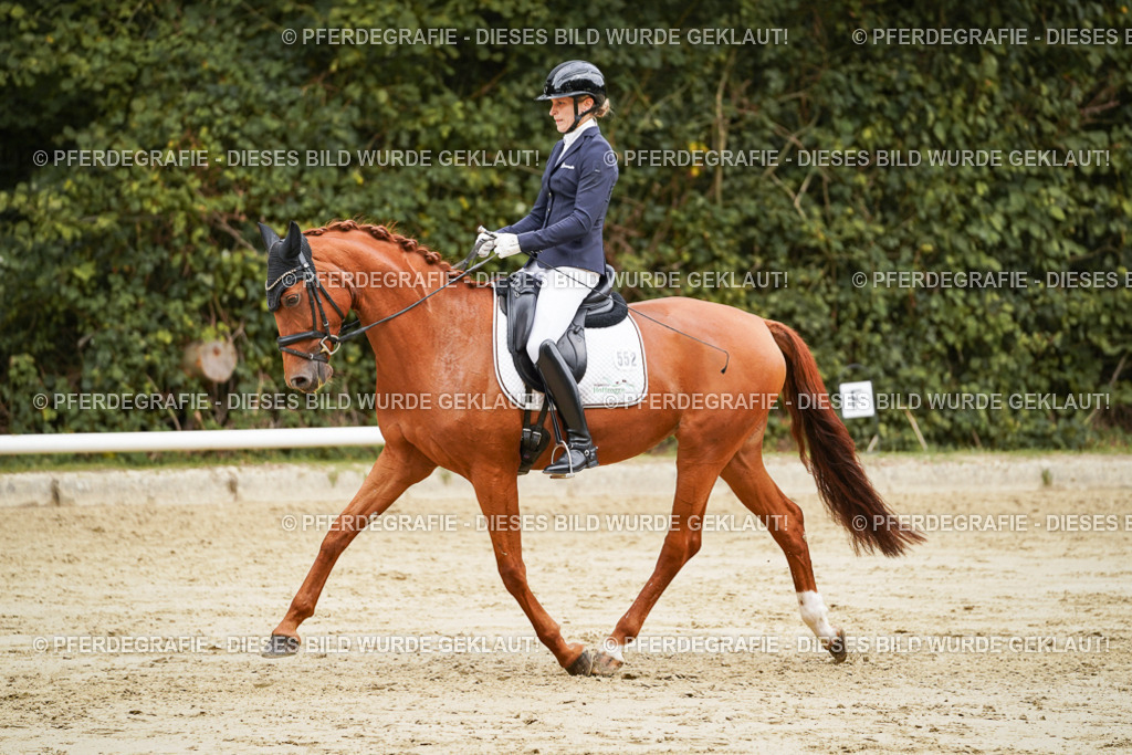 DSC09882 | Pferdegrafie