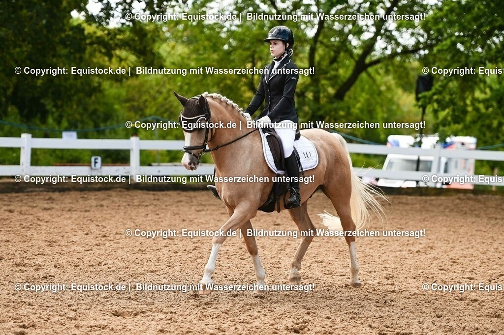 20230716_04_Dressurreiterprüfung Kl.A_0338 | equistock