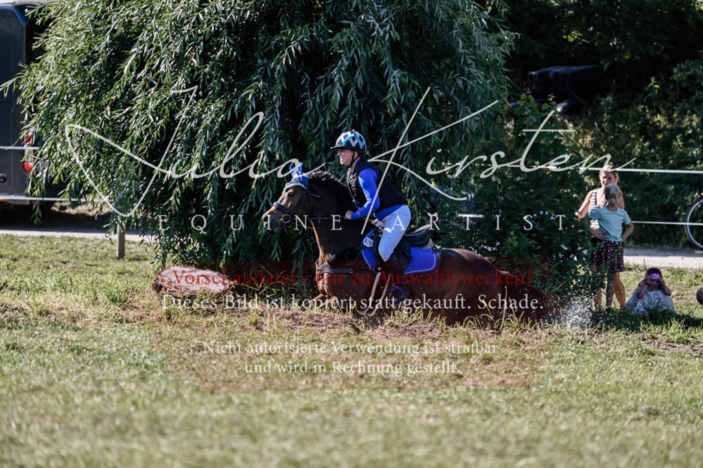 DSC_3123 | Pferde- und Turnierfotografie in Westsachsen. Pferdeportraits, Auftragszeichnungen und intuitive Kunst.