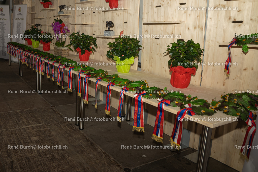 DSC08761 | René Burch leidenschaftlicher Fotograf aus Kerns in Obwalden.  Hier finden sie Sport, Landschaft und Natur Fotografie.
 - Realisiert mit Pictrs.com