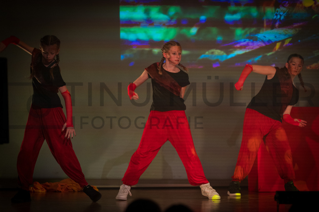 DSC05587 | Tinu Müller Fotografie- Bildershop - Realisiert mit Pictrs.com