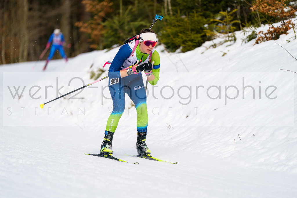 FESA Alpencup / DP Notschrei | Deutschland Pokal Finale im Schwarzwald NORDIC-CENTER Notschrei am 7. - 8. Februar 2026