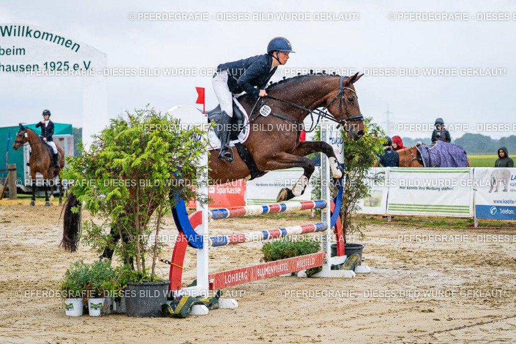 DSC02614 | Pferdegrafie