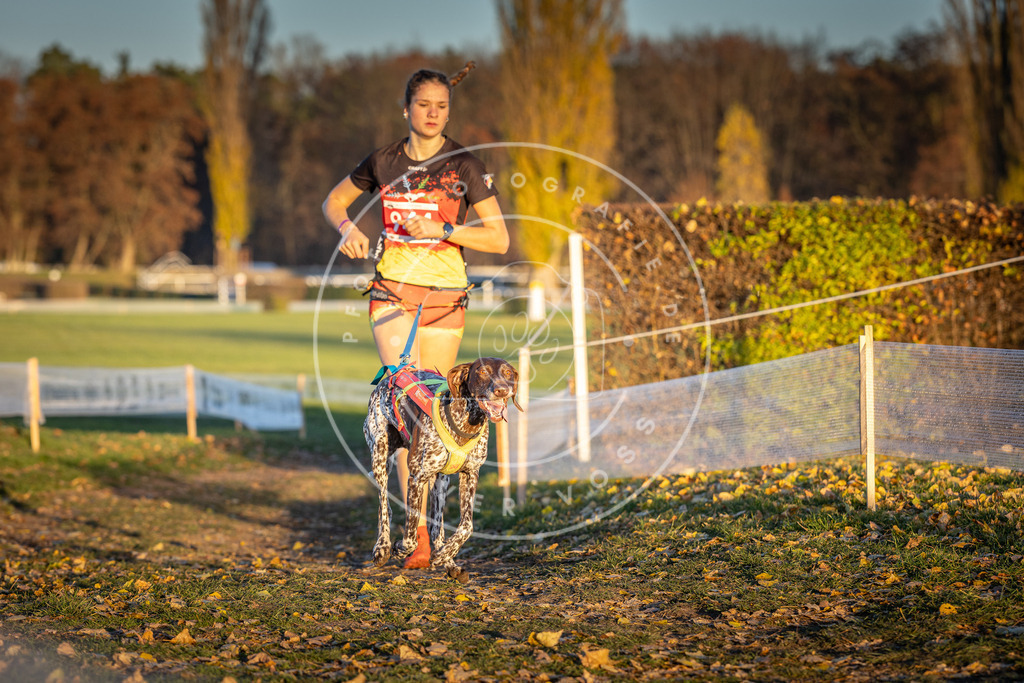 CaniXpix_DV3A5438 | Hundefotografie, Tierfotograf, Pfotenfotografie, Fotoshooting Hund, Hunde Portrait, Hundesport, Hundeportraits, Heideshooting, Hunde, Sportfotograf, Hundefotograf, Turnierhundsport, THS,  - Realisiert mit Pictrs.com