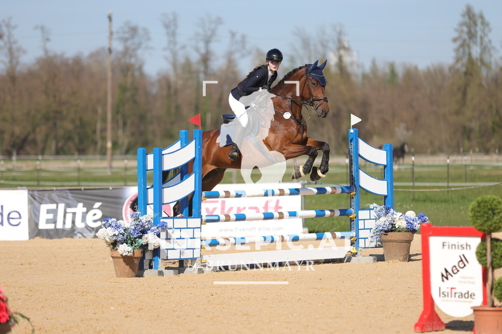 0P6A1788 | Willkommen bei Brunnmayr - Design & Fotografie – Ihrem Spezialisten für Reitturniere und Pferdeveranstaltungen in Oberösterreich, Salzburg und Bayern! Seit über 17 Jahren sind wir leidenschaftlich dabei.