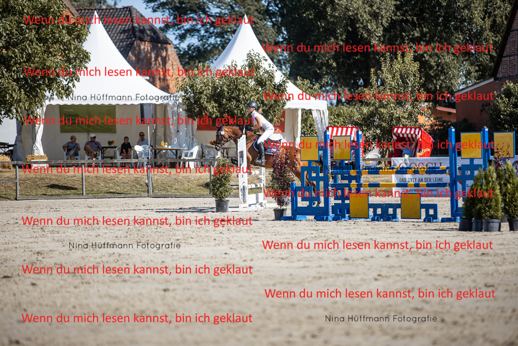 BK1A7152 | Turnierbilder Turnierfotos Nina Hüffmann Turnierfotografie Pferdefotografie Tierzeichnung Haustierzeichnung Pferdezeichnung Hundezeichnung Videograf  - Realisiert mit Pictrs.com