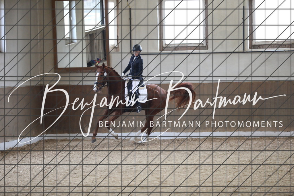 AZ2A0069 | Benjamin Bartmann Photomoments