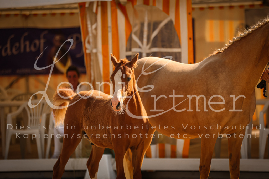 11.DoRP00028 | Leoni Ertmer Photography - Realisiert mit Pictrs.com