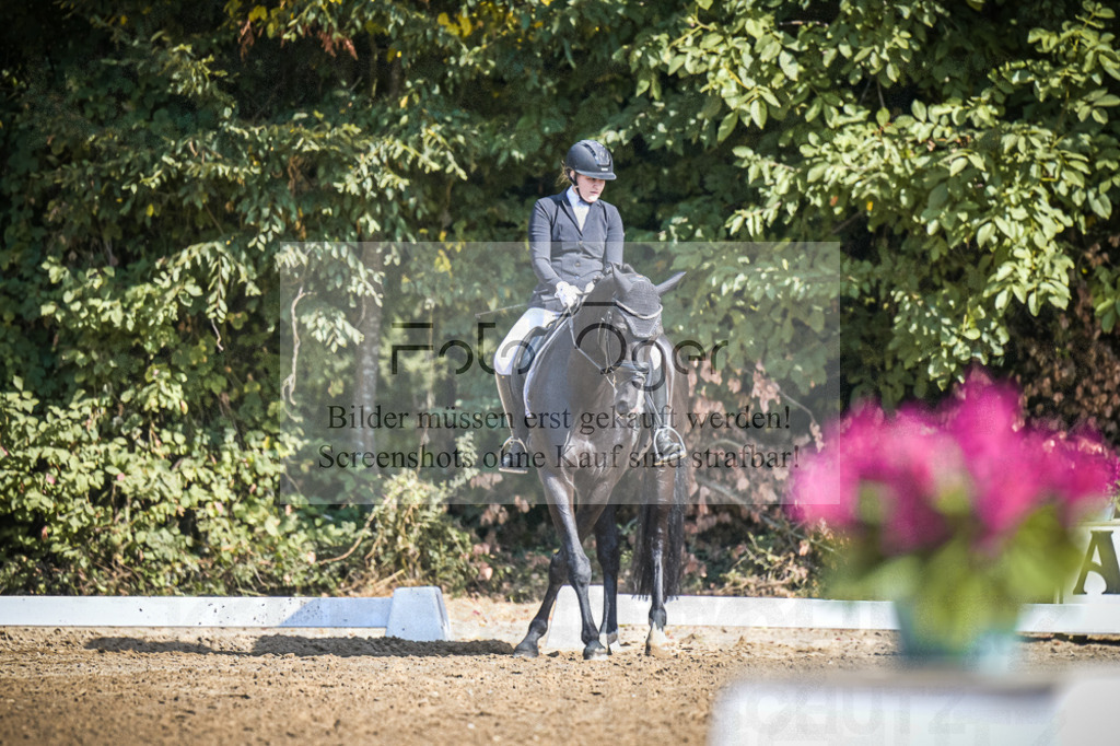 DOS_3494 | Entdecke hochwertige Reitturnierfotos von Foto Oger. Professionell, emotional und authentisch – jetzt Lieblingsmomente im Shop bestellen.Deutschlandweite Turnierfotografie. - Realisiert mit Pictrs.com