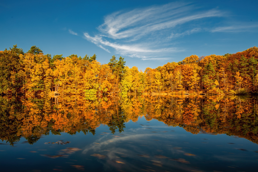 Wandbild - Herbstspiegelung am See: Farbenpracht der Natur | Dieses wunderschöne Bild zeigt einen ruhigen See, der von herbstlichen Bäumen umgeben ist. Die leuchtenden Gelb-, Orange- und Rottöne des Herbstlaubs spiegeln sich perfekt im klaren, blauen Wasser wider und schaffen eine symmetrische Komposition, die die Schönheit und Ruhe der Natur einfängt. Der Himmel ist tiefblau und wird von einigen dekorativen Wolken durchzogen, die die Szene noch lebendiger machen. Die Farben des Herbstes und die Spiegelung im Wasser vermitteln eine friedliche und idyllische Atmosphäre, die den Betrachter zum Verweilen und Genießen einlädt.