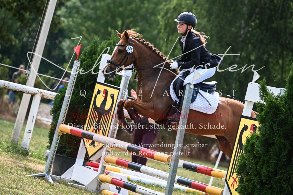 DSC_8579 | Pferde- und Turnierfotografie in Westsachsen. Pferdeportraits, Auftragszeichnungen und intuitive Kunst.
