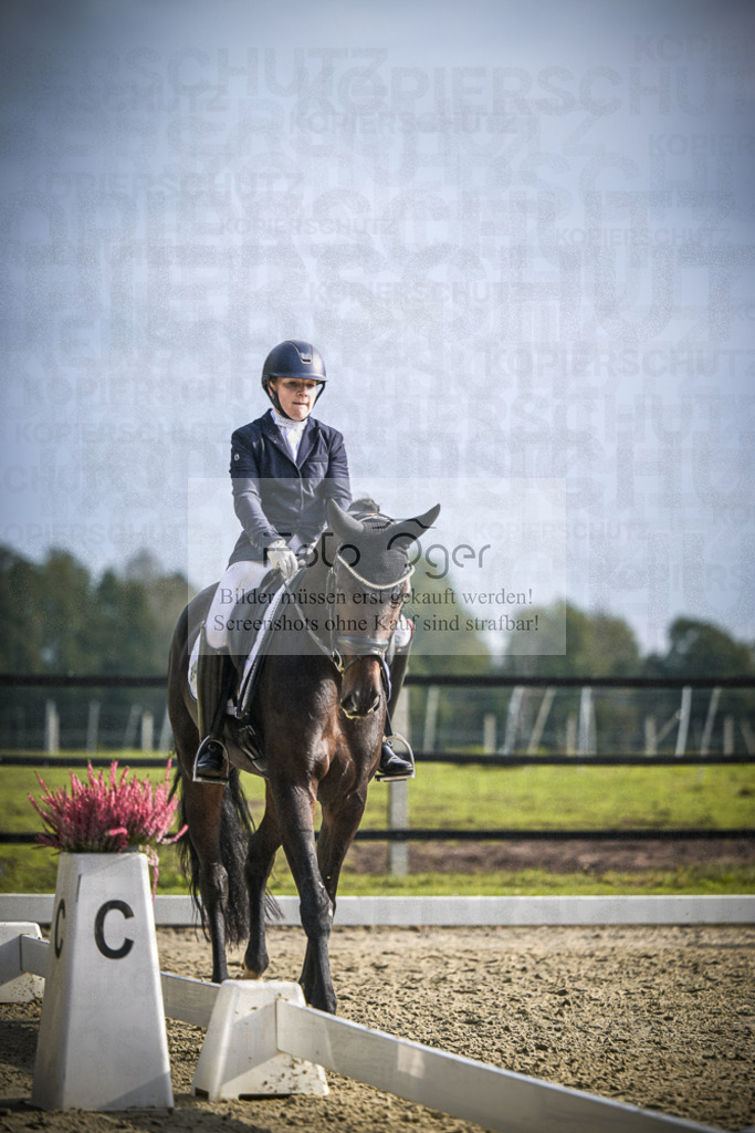 DOS_B233 | Entdecke hochwertige Reitturnierfotos von Foto Oger. Professionell, emotional und authentisch – jetzt Lieblingsmomente im Shop bestellen.Deutschlandweite Turnierfotografie. - Realisiert mit Pictrs.com