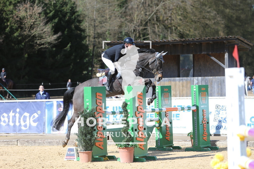 DL2Q4593 | Willkommen bei Brunnmayr - Design & Fotografie – Ihrem Spezialisten für Reitturniere und Pferdeveranstaltungen in Oberösterreich, Salzburg und Bayern! Seit über 17 Jahren sind wir leidenschaftlich dabei.