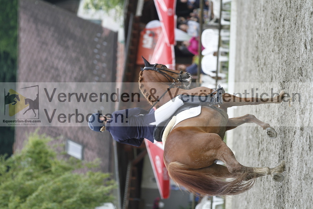 _MG_2157 | equestrian-live-com