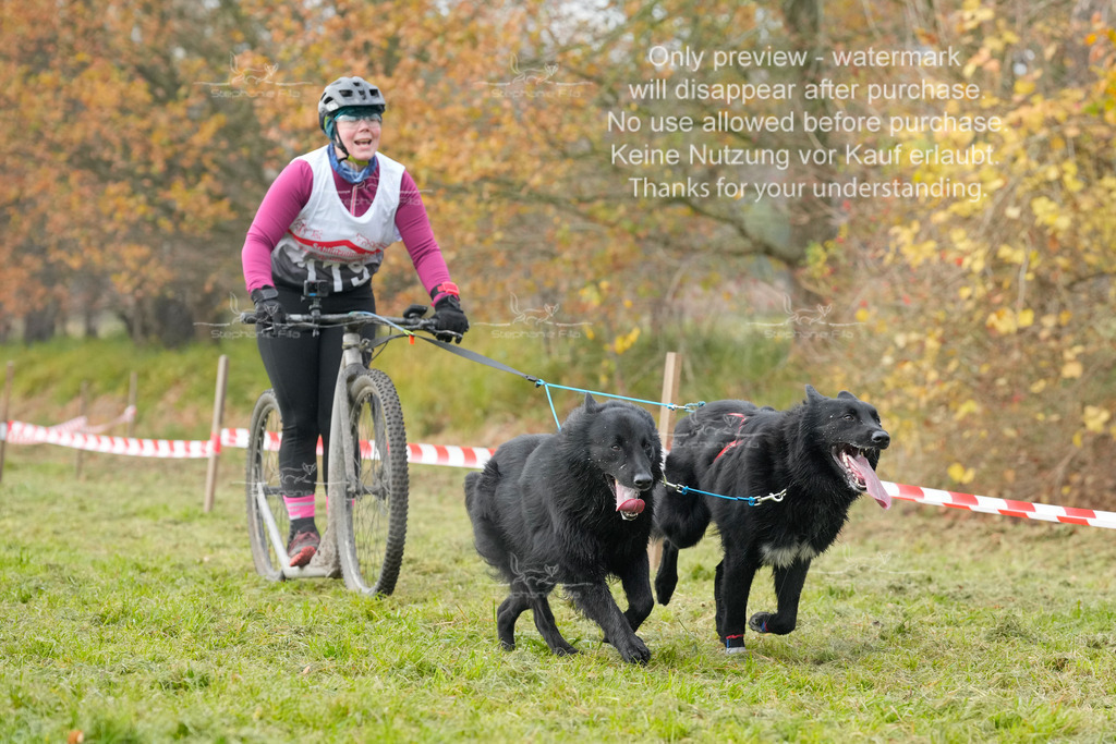 Visbeck_Sa_DS2DR2-147 | stephaniefillaphotographie - Realisiert mit Pictrs.com