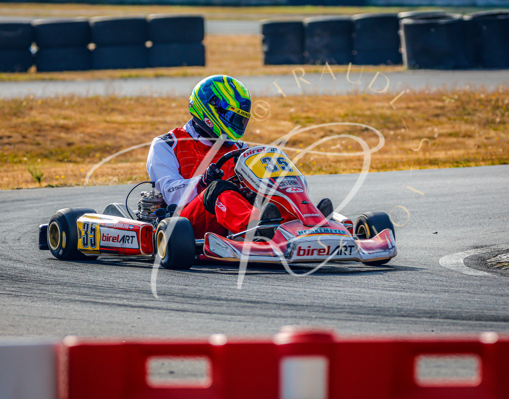 2C7BF404-8DF1-485C-BC96-9434F6322E6C | traudl_s_fotos