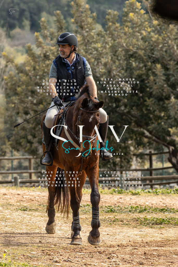 IMG_3470 | s-jay-photography - Realisiert mit Pictrs.com