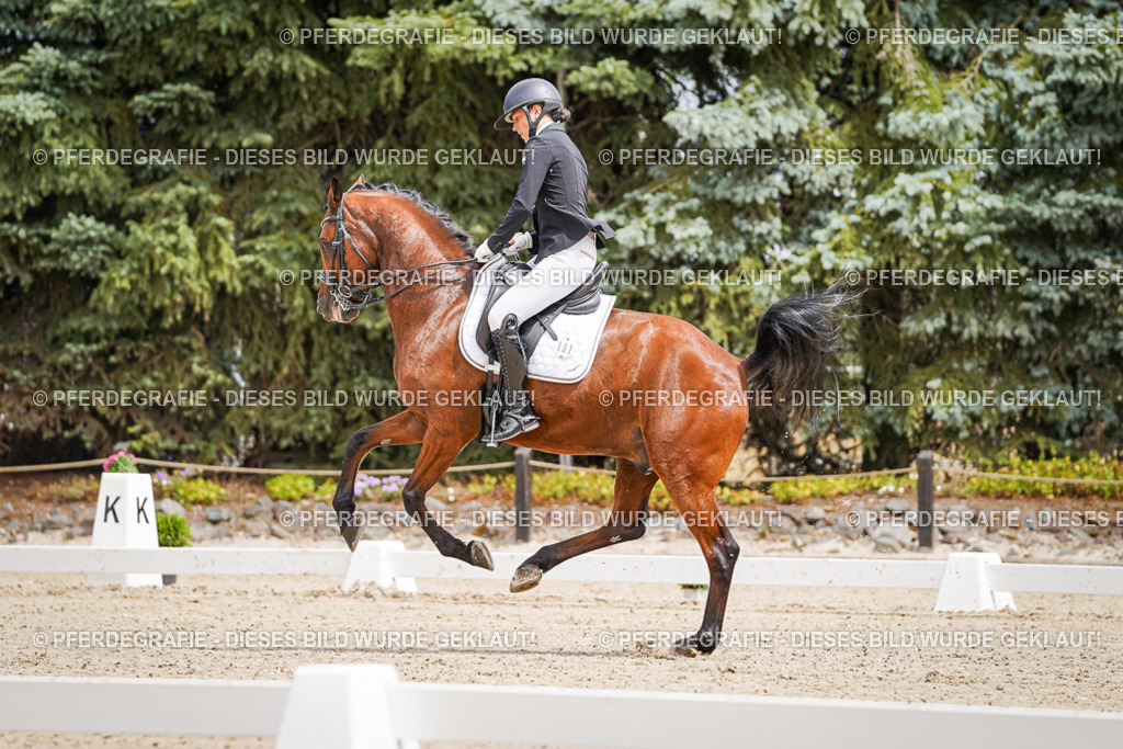 DSC03709 | Pferdegrafie