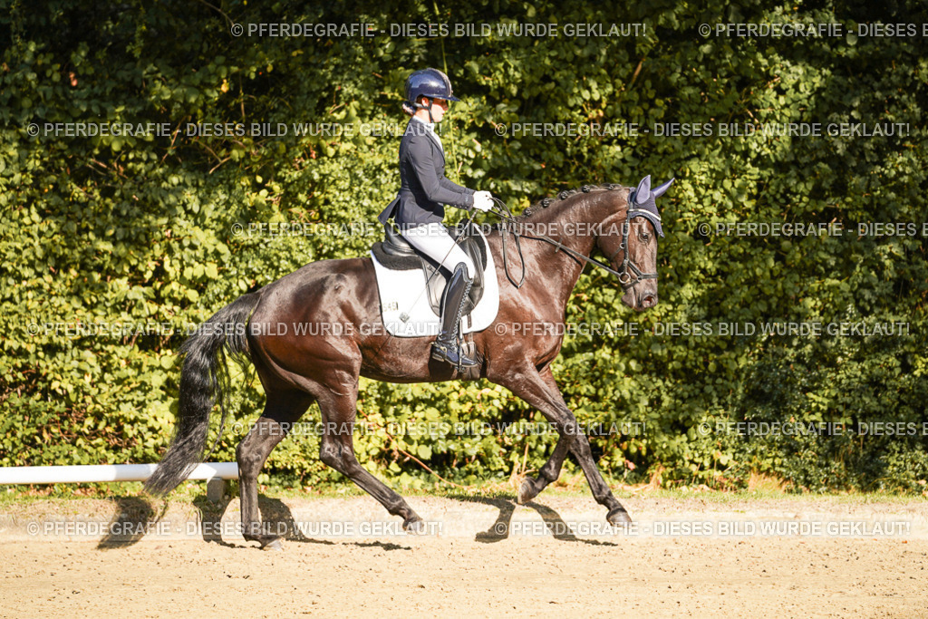 DSC06318 | Pferdegrafie