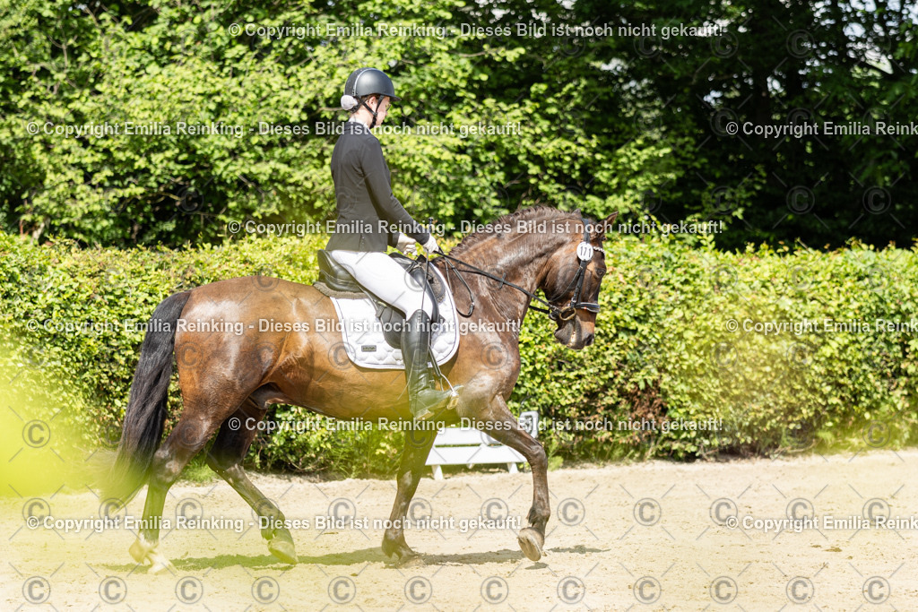 CL5A1005 | Emilia Reinking Fotografie - Realisiert mit Pictrs.com